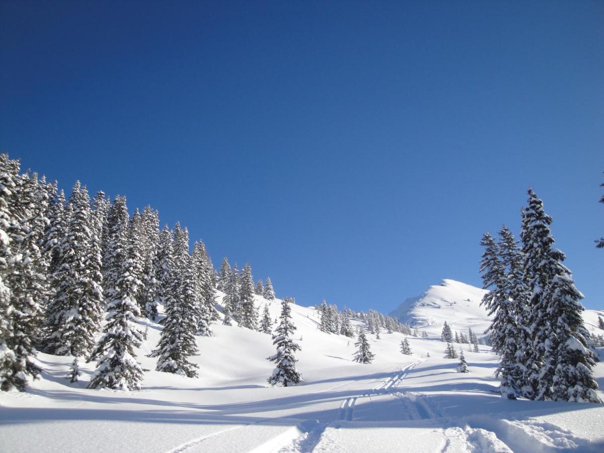 Apart Timeout Hart im Zillertal Εξωτερικό φωτογραφία
